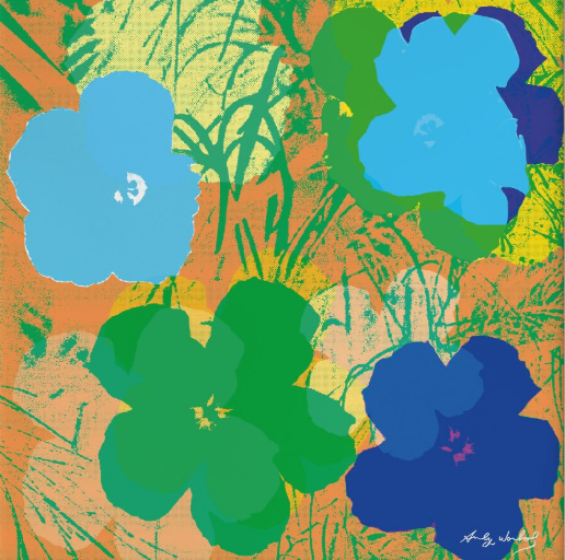 Indoor Plant Designs